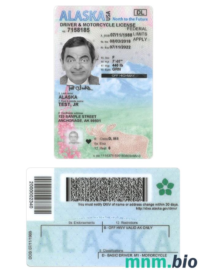 USA Alaska under 21 szablon prawa jazdy w formacie PSD, ze wszystkimi czcionkami